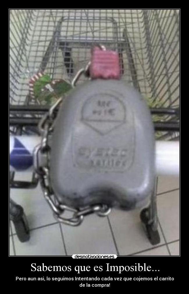 Sabemos que es Imposible... - Pero aun asi, lo seguimos Intentando cada vez que cojemos el carrito de la compra!