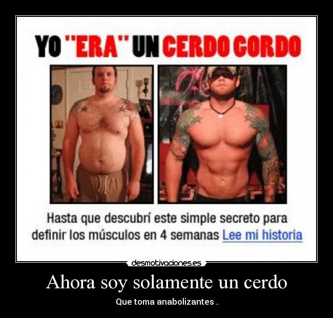 carteles cerdo desmotivaciones