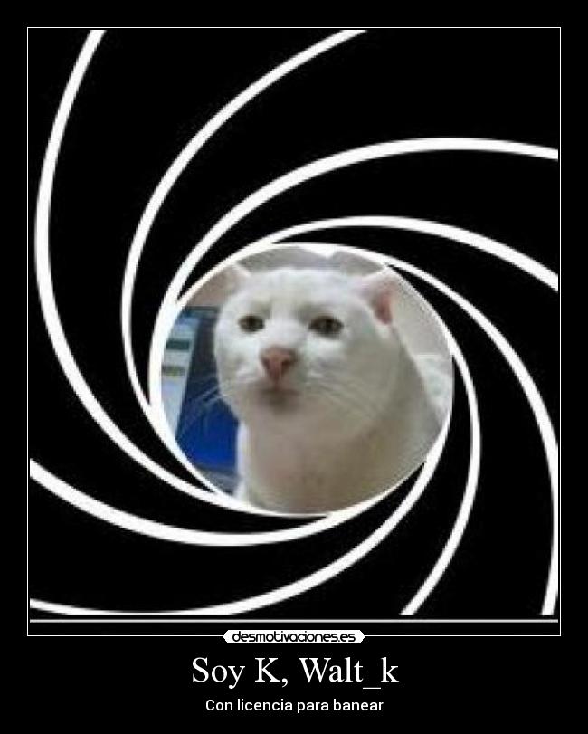 Soy K, Walt_k - Con licencia para banear
