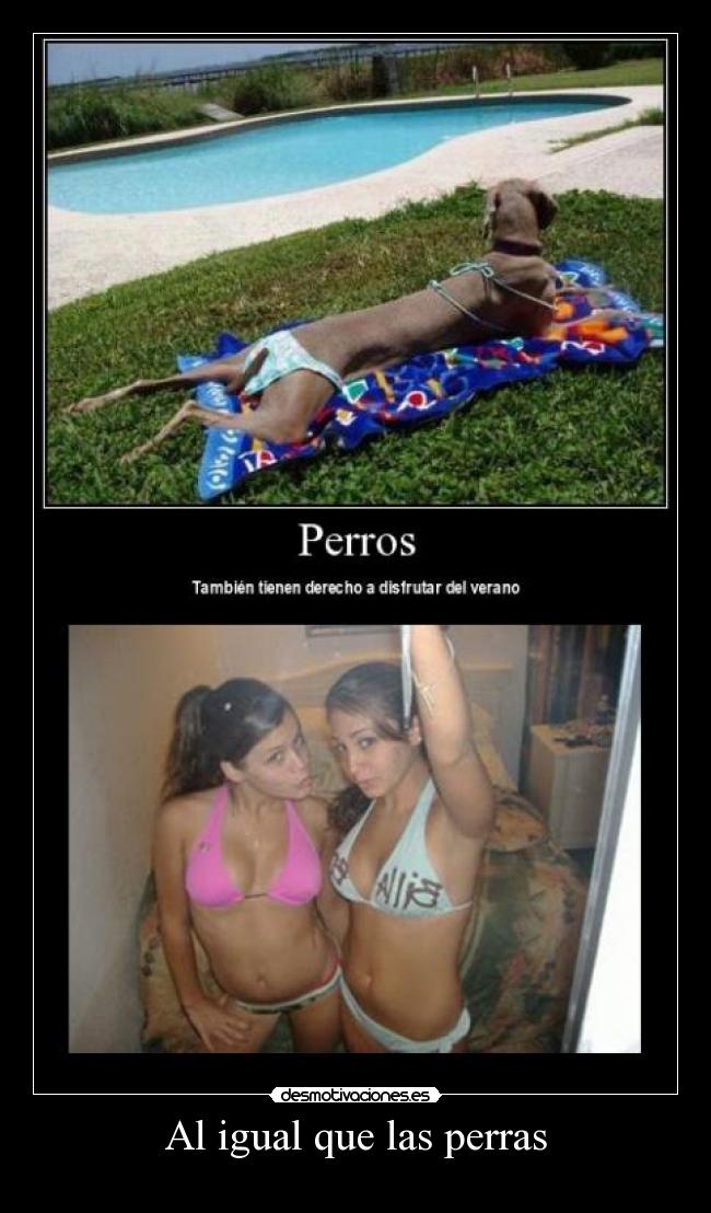 Al igual que las perras -