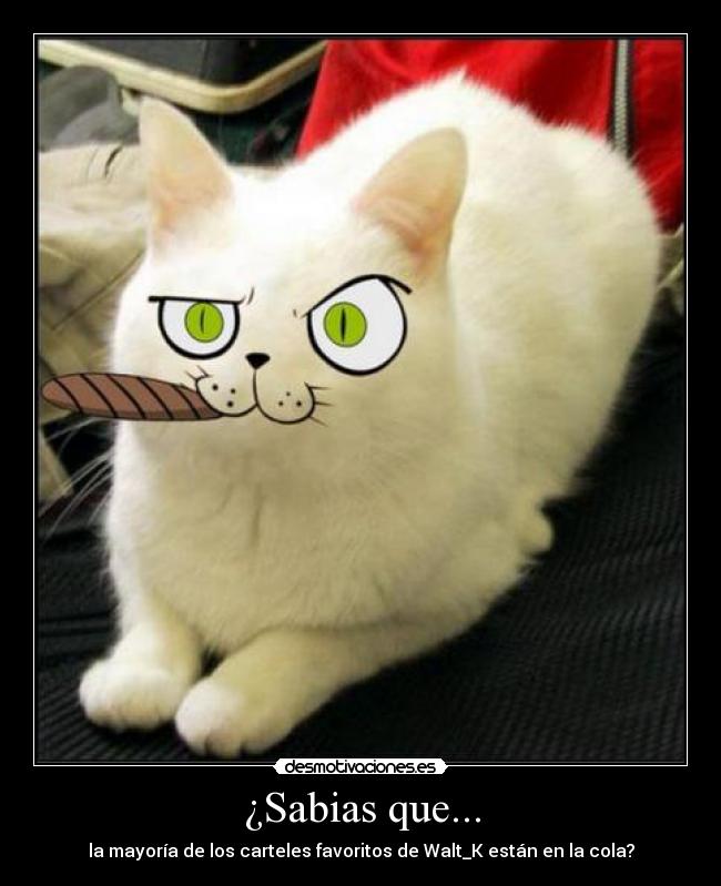 carteles walt_k cola favoritos desmotivaciones