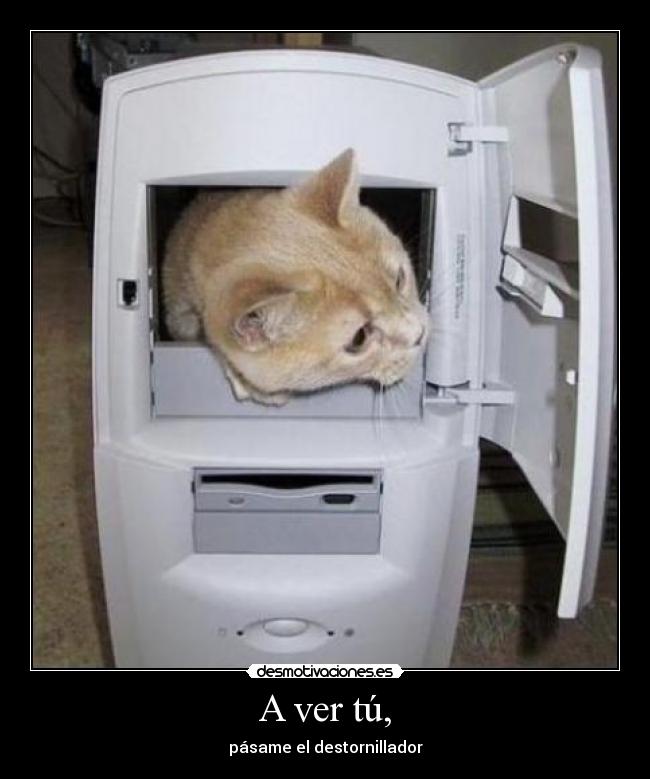 A ver tú, - pásame el destornillador