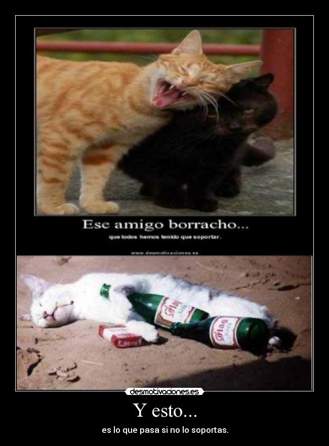 Y esto... - es lo que pasa si no lo soportas.