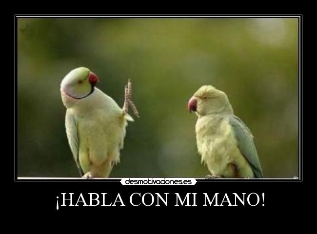 ¡HABLA CON MI MANO! - 