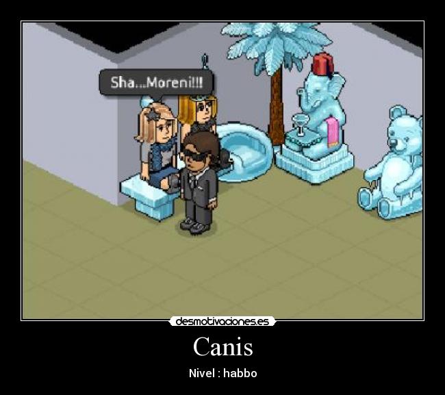 Canis - 