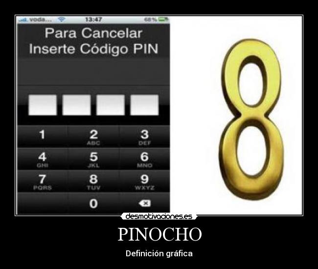 PINOCHO - Definición gráfica