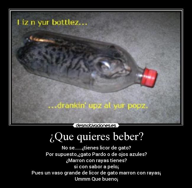 ¿Que quieres beber? -