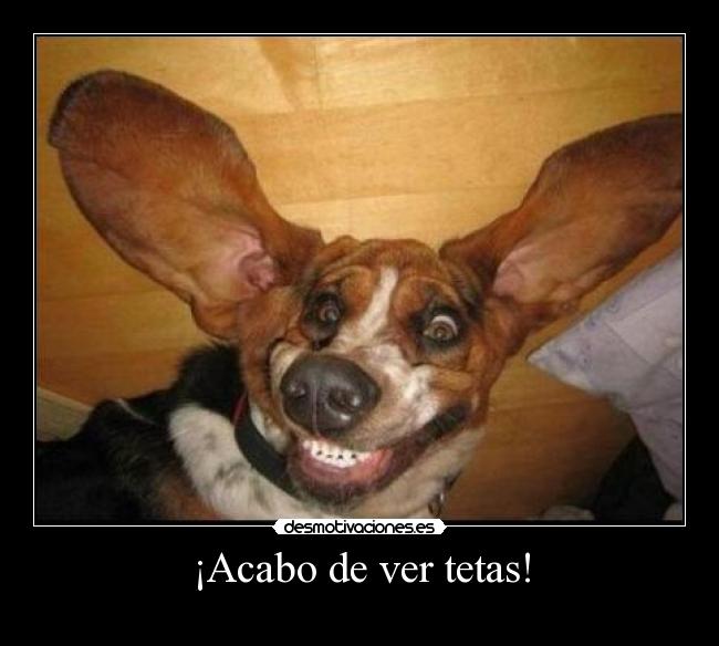 ¡Acabo de ver tetas! - 