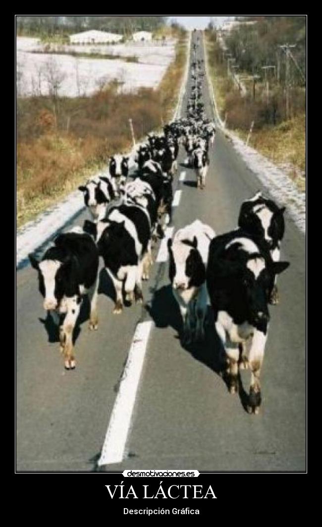 VÍA LÁCTEA - Descripción Gráfica