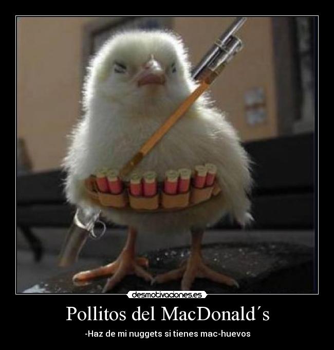 Pollitos del MacDonald´s -