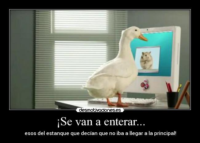 ¡Se van a enterar... - esos del estanque que decían que no iba a llegar a la principal!