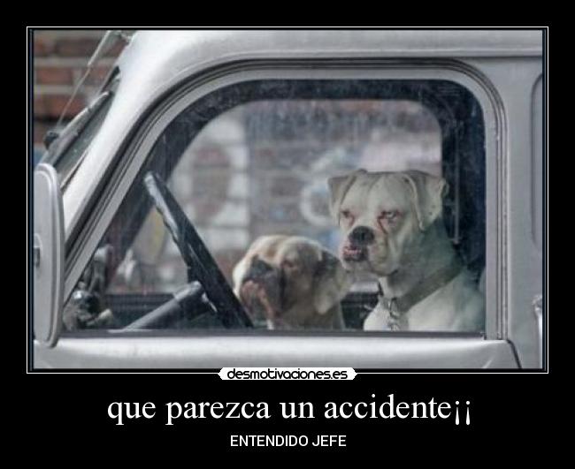 que parezca un accidente¡¡ -