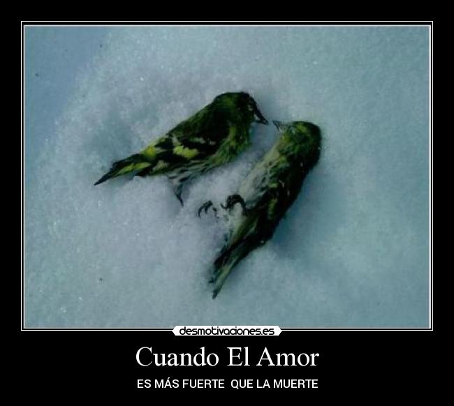 Cuando El Amor -