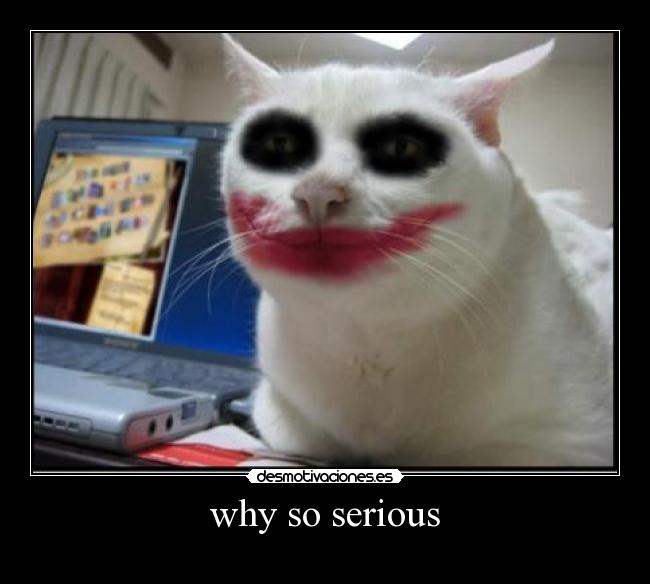 why so serious - 