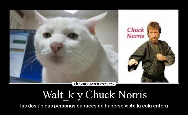 Walt_k y Chuck Norris - las dos únicas personas capaces de haberse visto la cola entera