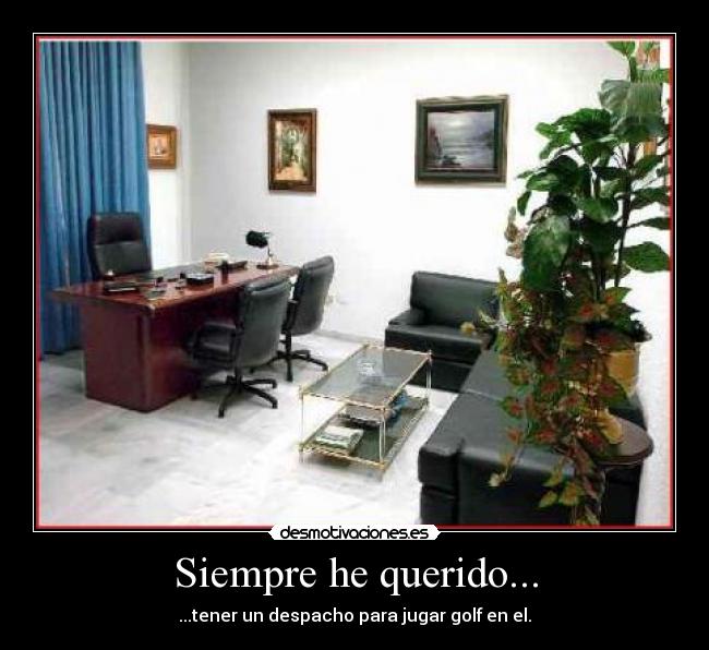 Siempre he querido... -