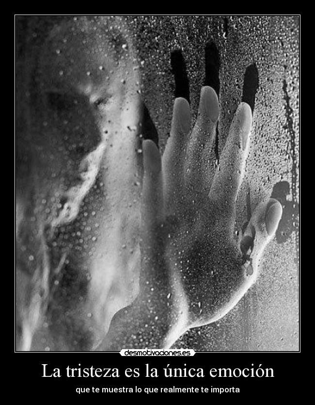 La tristeza es la única emoción -