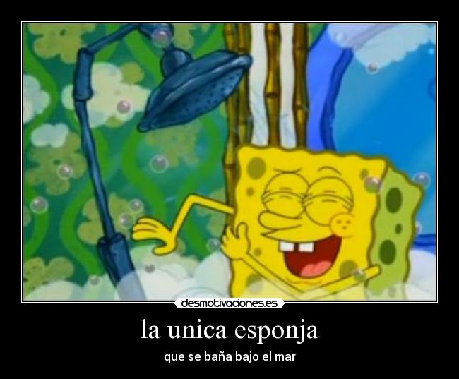 la unica esponja -