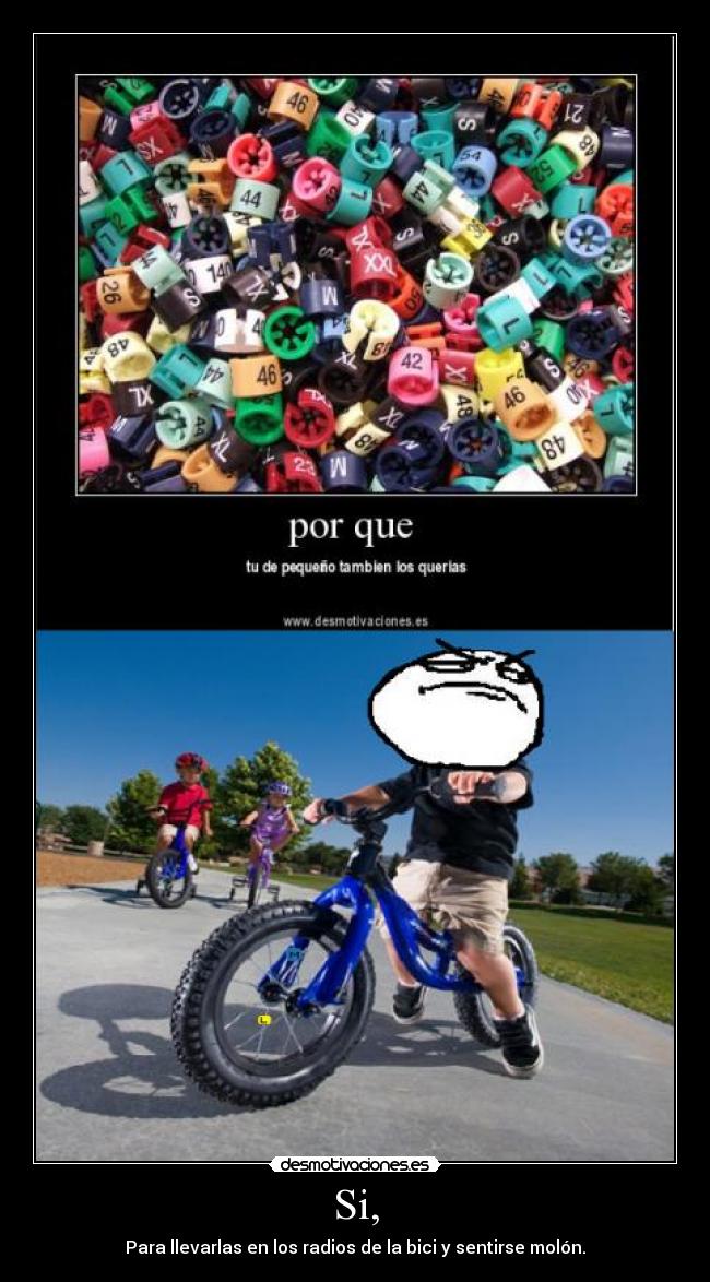 Si, - Para llevarlas en los radios de la bici y sentirse molón.