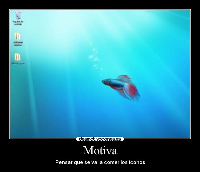 Motiva - 