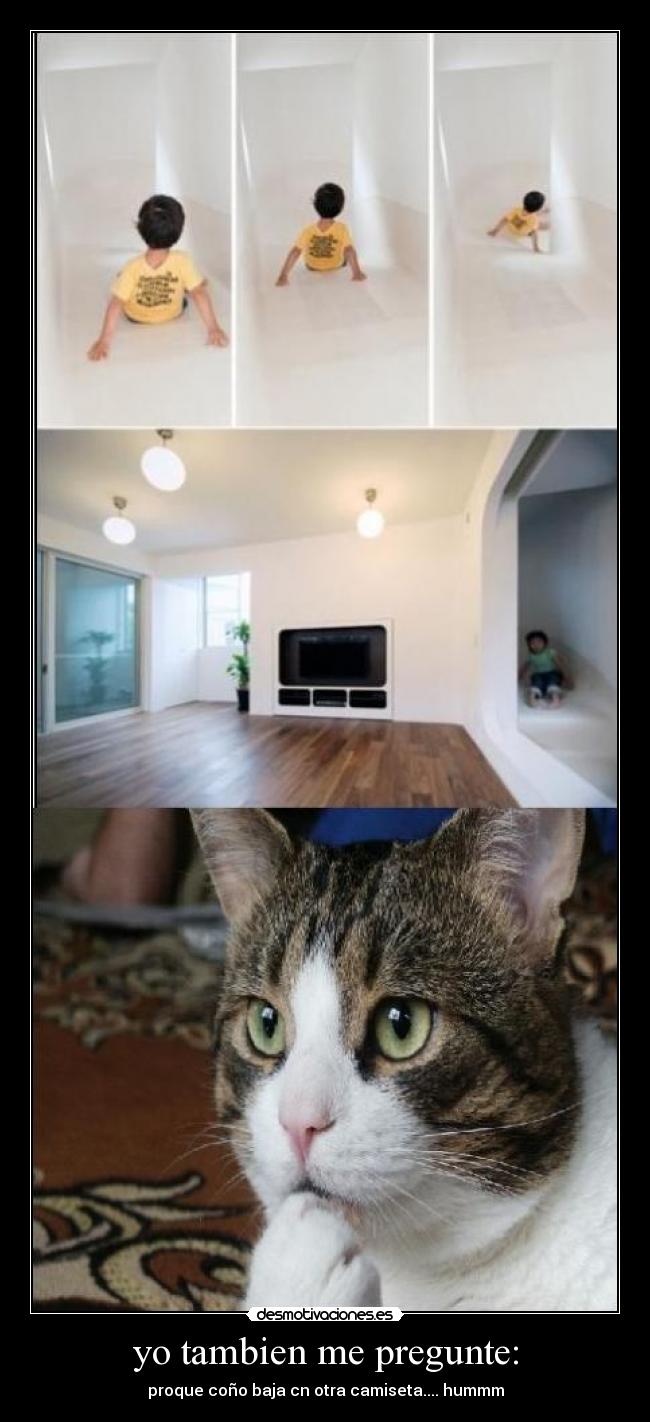 yo tambien me pregunte: - 