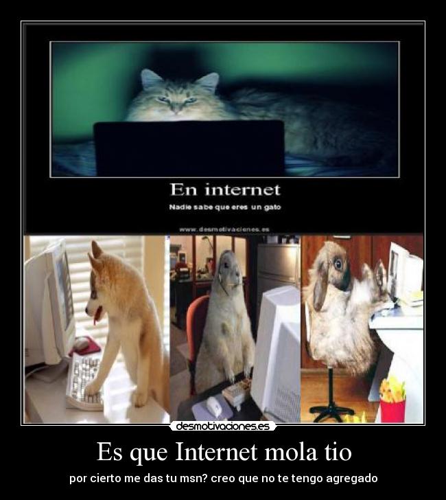 Es que Internet mola tio -