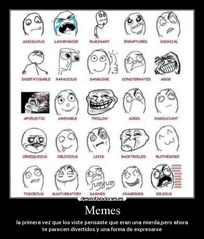 Memes - 