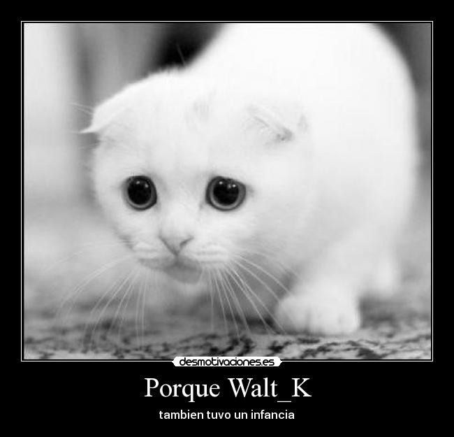 Porque Walt_K -
