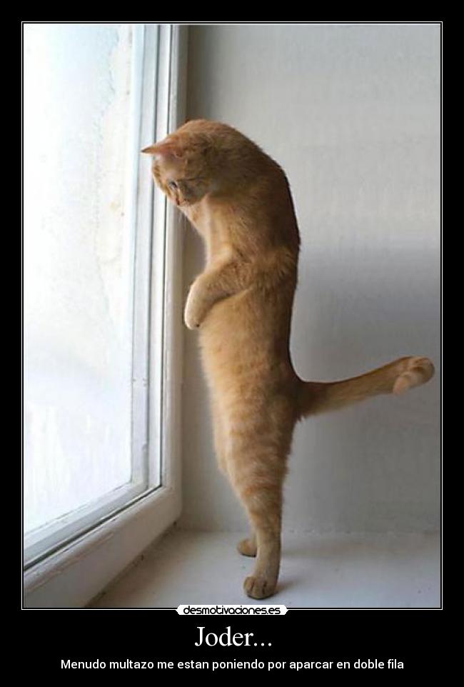 Joder... - 