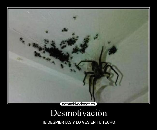 Desmotivación - TE DESPIERTAS Y LO VES EN TU TECHO