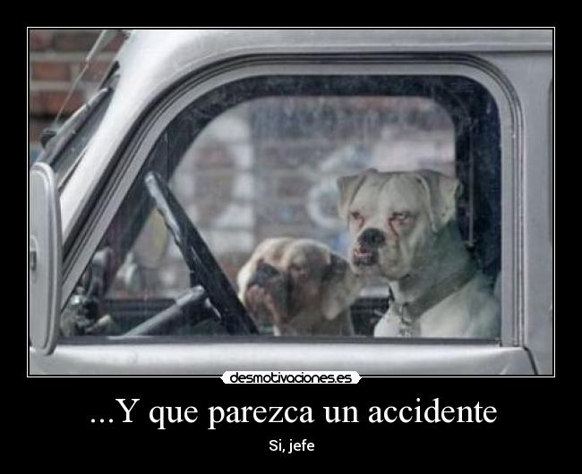 ...Y que parezca un accidente - 