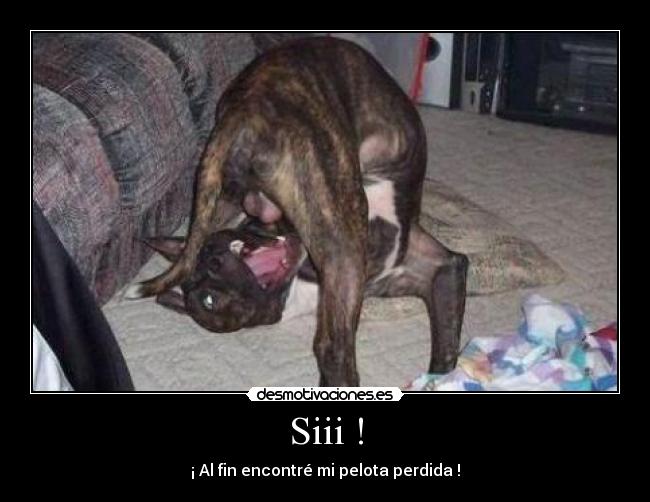 Siii ! - ¡ Al fin encontré mi pelota perdida !