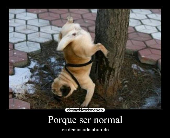 Porque ser normal - 