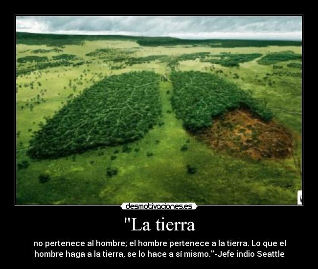 carteles amazonaspulmontala desmotivaciones