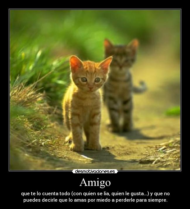 Amigo - que te lo cuenta todo (con quien se lia, quien le gusta...) y que no
puedes decirle que lo amas por miedo a perderle para siempre.