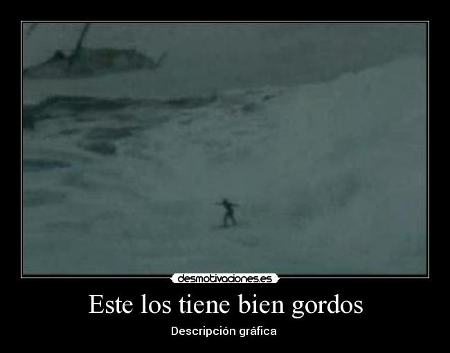 Este los tiene bien gordos - Descripción gráfica