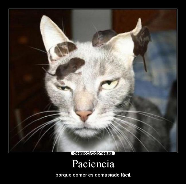 Paciencia - porque comer es demasiado fácil.