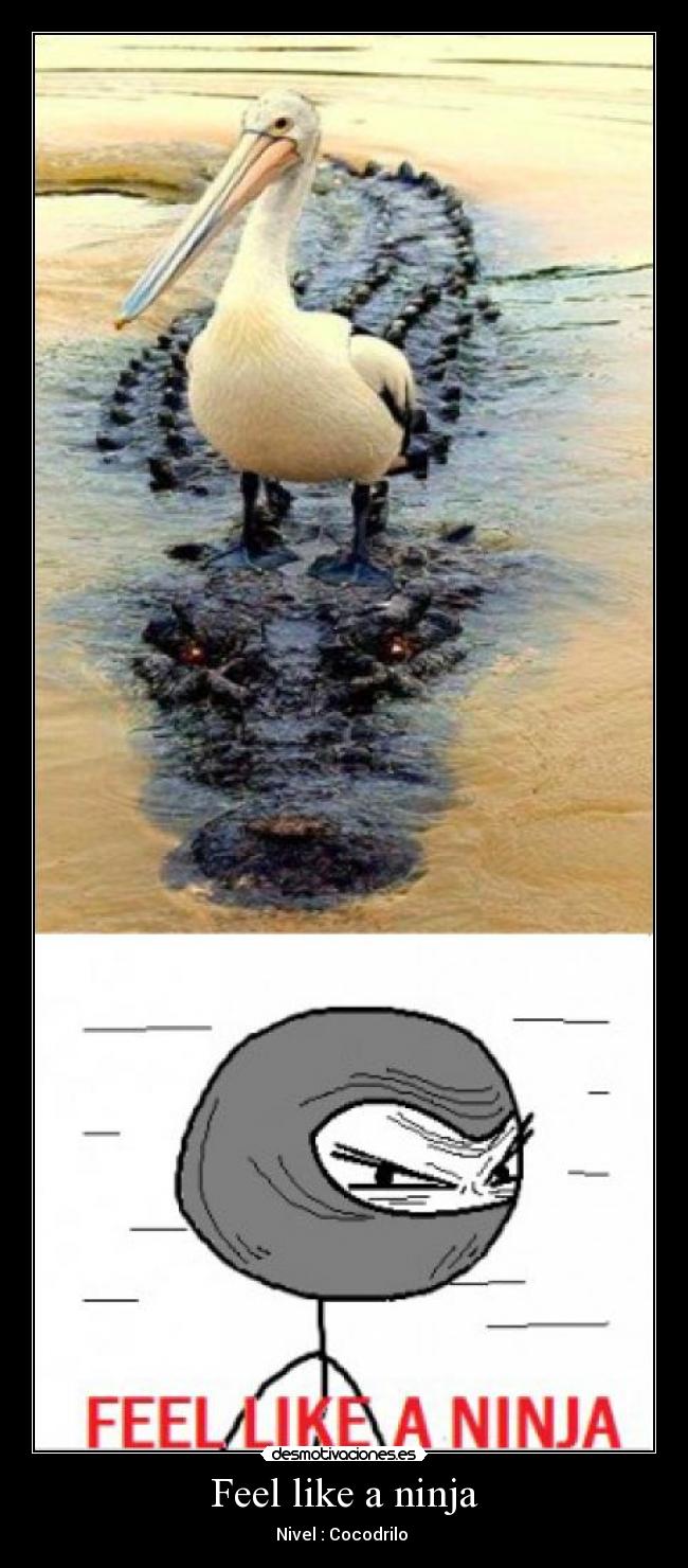 Feel like a ninja - Nivel : Cocodrilo