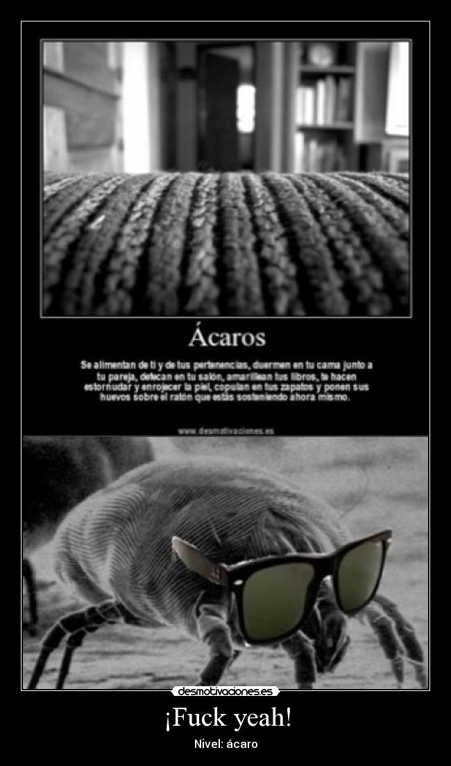 ¡Fuck yeah! - Nivel: ácaro