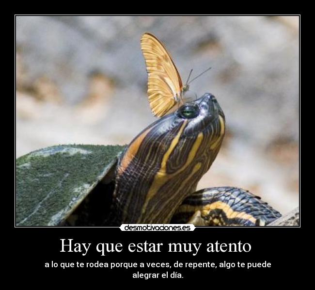 Hay que estar muy atento  - 