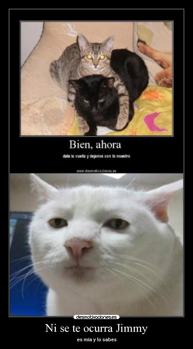 Ni se te ocurra Jimmy -