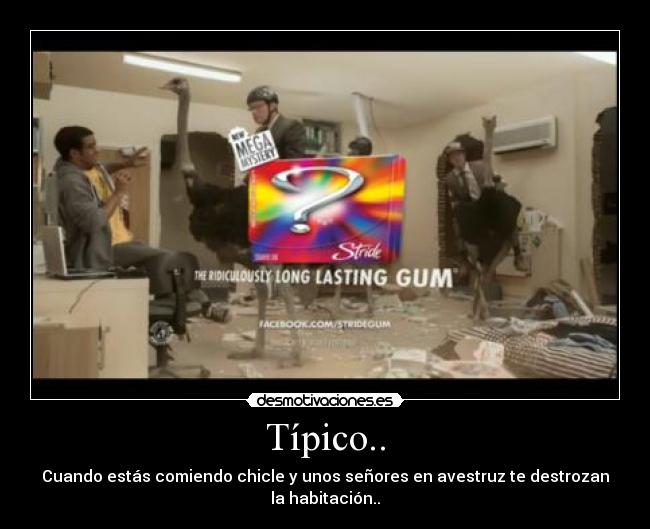 Típico.. - Cuando estás comiendo chicle y unos señores en avestruz te destrozan la habitación..