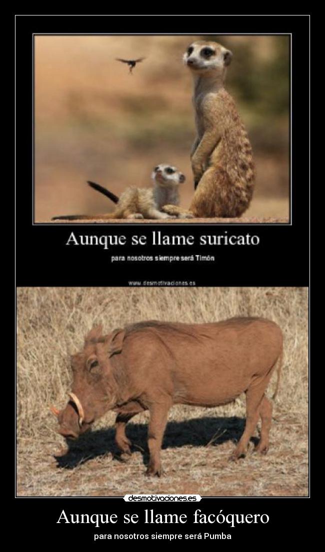 carteles jgnzbf desmotivaciones