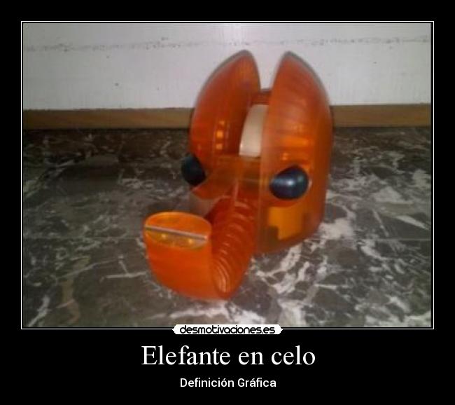 Elefante en celo -