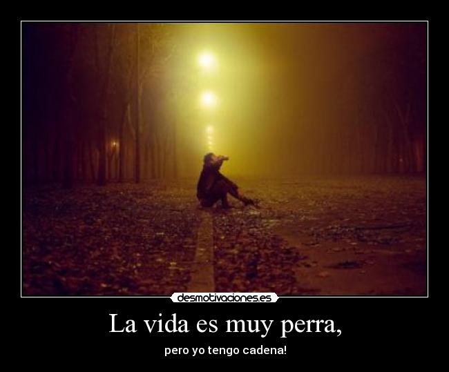 La vida es muy perra, -