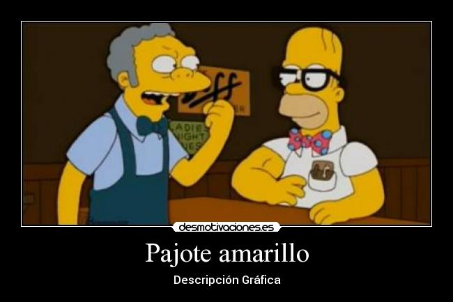 Pajote amarillo - Descripción Gráfica