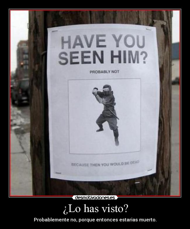 ¿Lo has visto? -