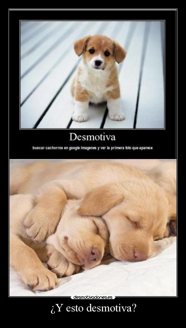 ¿Y esto desmotiva? -
