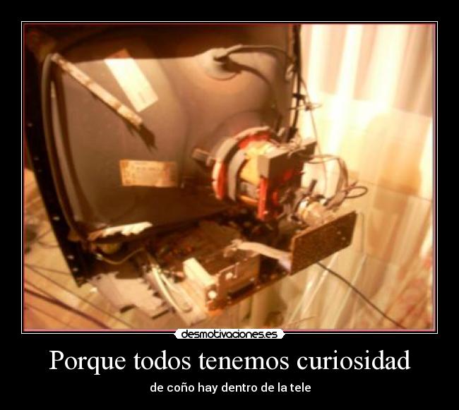 Porque todos tenemos curiosidad - de coño hay dentro de la tele