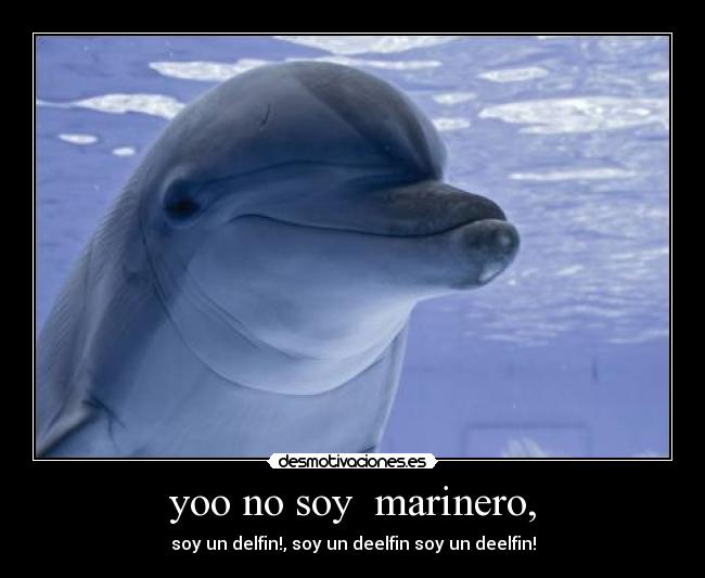 yoo no soy  marinero, - 